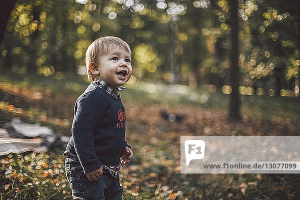 Cheerful baby boy looking away while standing at park during autumn