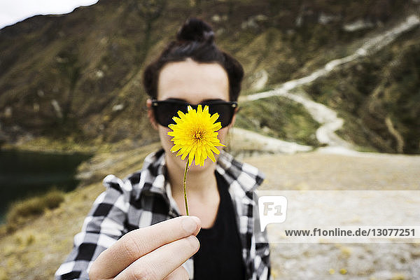 Woman holding yellow dandelion against face on field