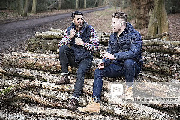 Männliche Freunde unterhalten sich  während sie auf Baumstämmen im Wald von Epping sitzen