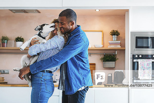 Affectionate multi-ethnic couple playing with Siberian Husky at home