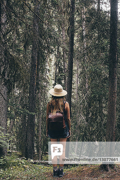 Rückansicht einer im Wald stehenden Frau mit Rucksack