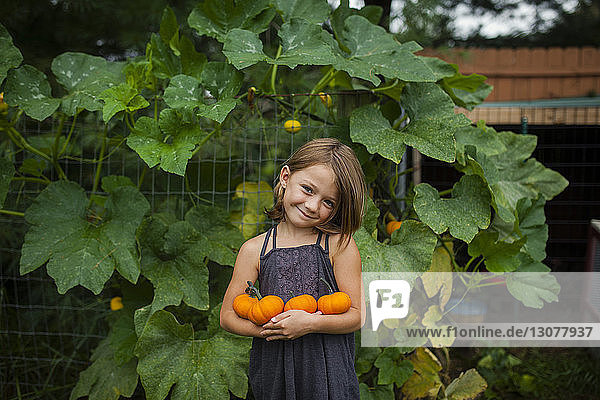 Porträt eines lächelnden Mädchens  das Kürbisse hält  während es an Pflanzen steht