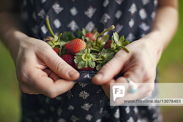 Mittelsektion einer Bäuerin  die im Betrieb Erdbeeren in Kleidern hält
