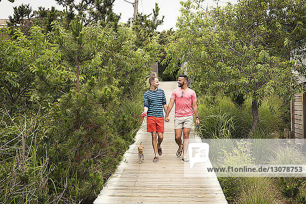 Glückliches homosexuelles Paar unterhält sich beim Spaziergang mit Chihuahua an der Strandpromenade