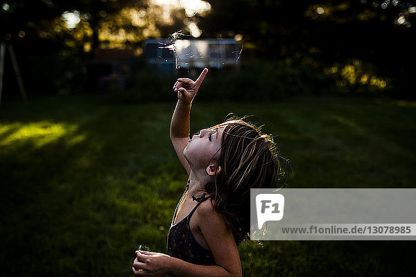 Seitenansicht eines Mädchens  das mit Löwenzahnsamen auf einem Feld im Hof spielt