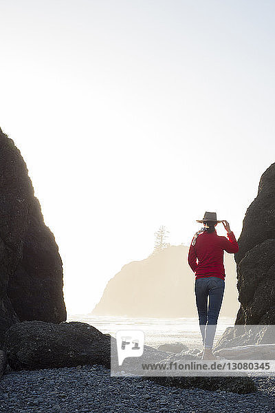 Rear view of hiker standing at Ruby Beach against clear sky