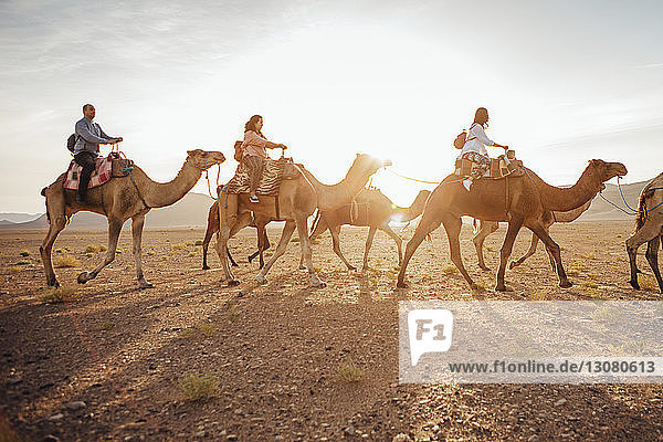 Touristen reiten auf Kamelen in der Wüste am sonnigen Tag gegen den Himmel
