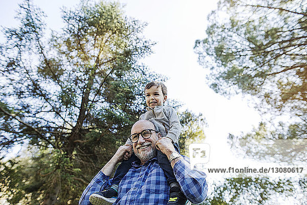 Niedrigwinkelansicht eines glücklichen älteren Mannes  der seinen Enkel auf den Schultern gegen den Himmel trägt