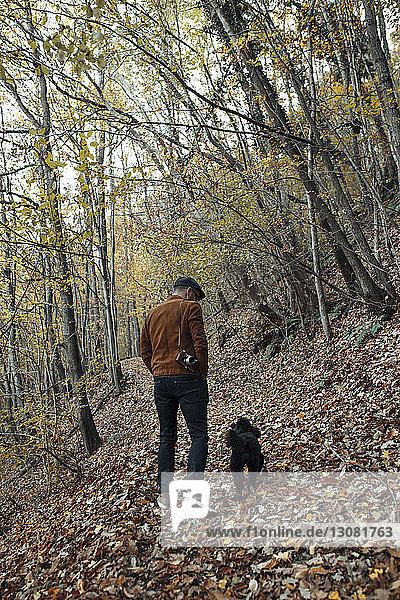 Rückansicht eines Mannes mit Hund beim Waldspaziergang im Herbst