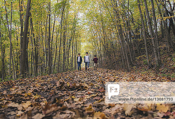 Brothers walking on fallen dry leaves during autumn at park