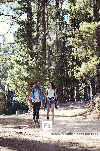 Female friends talking while walking in forest
