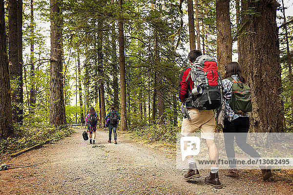 Rear view of friends walking on road in forest