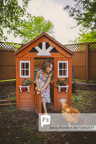 Happy girl looking at hen while standing on entrance of chicken coop