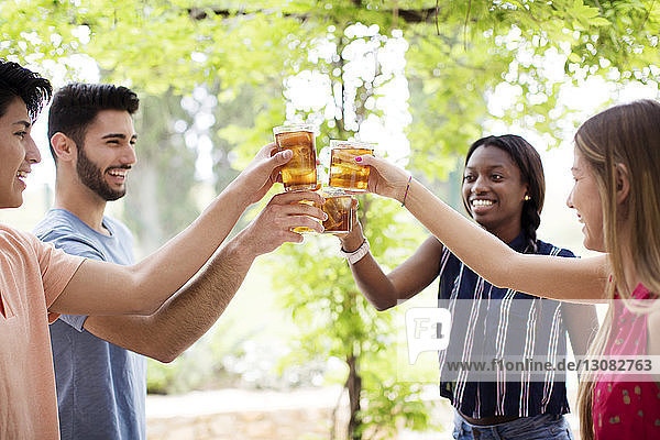 Happy multi-ethnic friends toasting iced tea glasses at yard