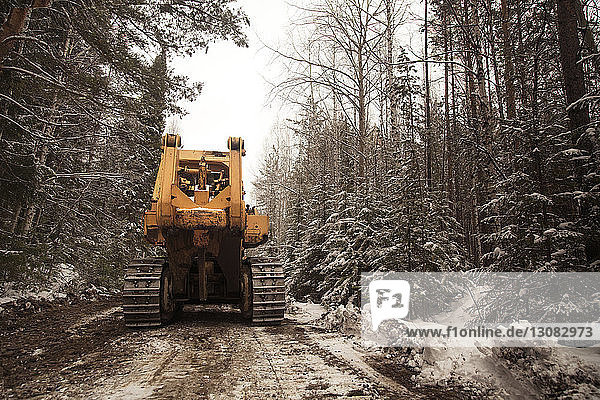 Erdbewegungsmaschine auf unbefestigter Straße inmitten von Bäumen im Wald im Winter