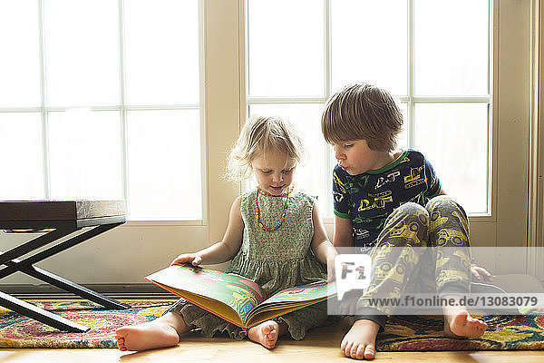 Siblings looking at picture book while sitting by window at home