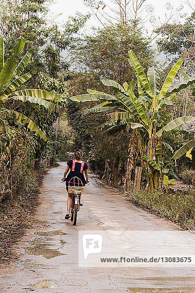 Rear view of woman riding bicycle on road amidst trees and plants