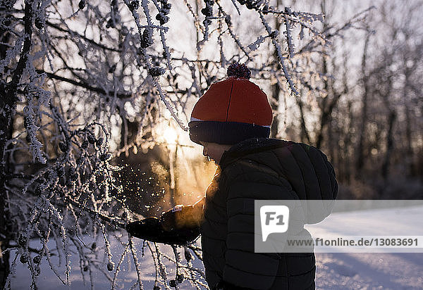 Seitenansicht eines Jungen  der während des Sonnenuntergangs an einem gefrorenen kahlen Baum im Wald steht