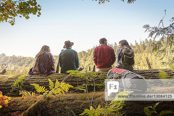 Rear view of friends sitting on fallen tree trunk in forest