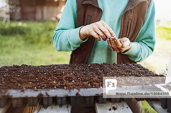 Mittelsektion einer Frau  die Samen in einem landwirtschaftlichen Betrieb anpflanzt