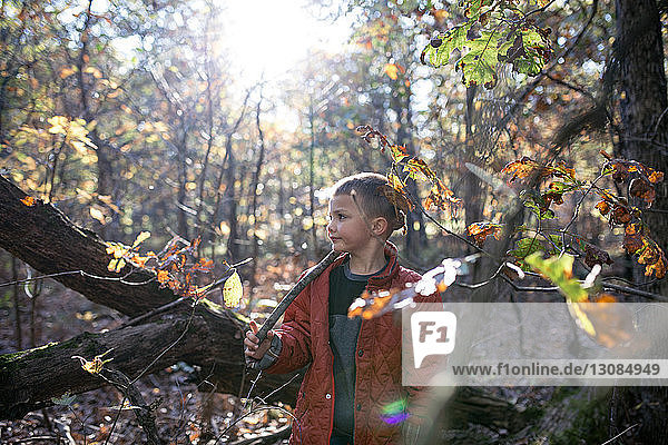 Junge hält Stock  während er im Herbst im Wald steht