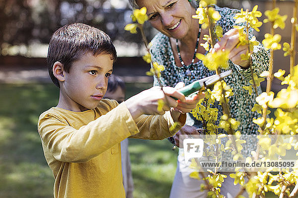 Glückliche ältere Frau betrachtet Enkel beim Blumenschneiden auf dem Rasen