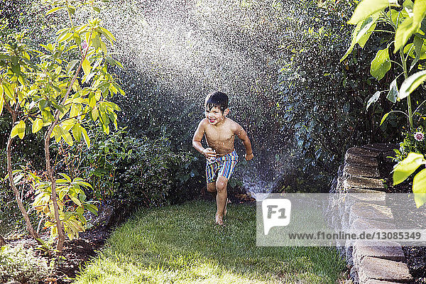 Junge genießt im Sprinkler im Hinterhof