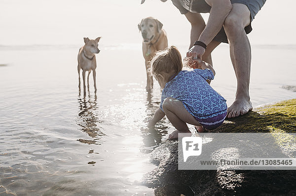 Father and daughter with dogs at rocky beach