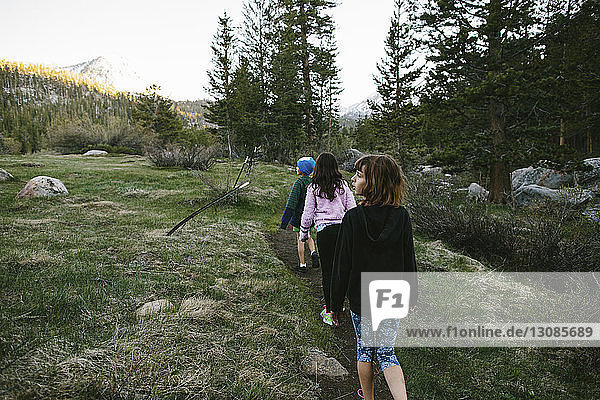 Rear view of siblings walking on field at Inyo National Forest