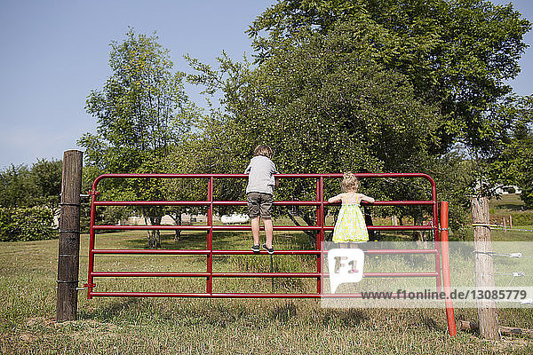 Rear view of playful siblings standing on railing in park