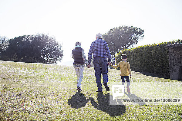 Rückansicht der Großeltern beim Spaziergang mit dem Enkel auf einem Grasfeld