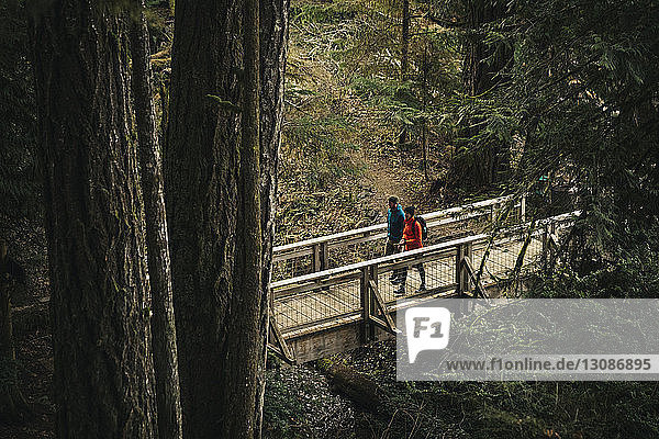 Paar in voller Länge auf Wanderweg zwischen Bäumen und Pflanzen im Wald