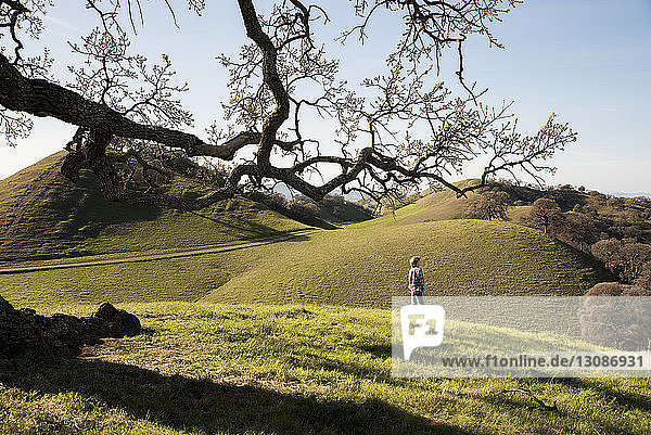Rear view of boy standing on grassy hill against sky