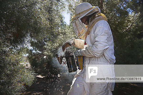 Bienenzüchterin mit Bienenstockraucher bei der Arbeit
