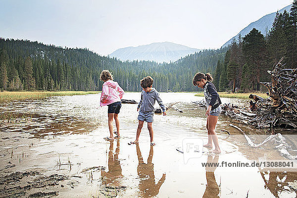 Siblings standing in water at stream against mountains