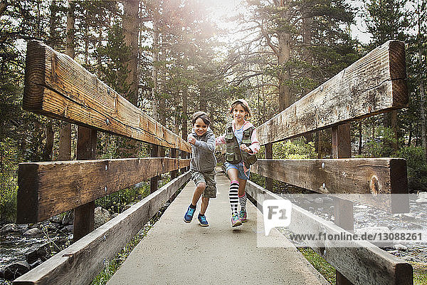 Geschwister laufen auf einer Brücke über den Fluss inmitten von Bäumen im Wald