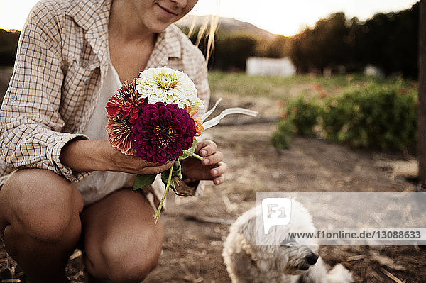 Mittelsektion einer Bäuerin  die Blumen auf dem Feld hält
