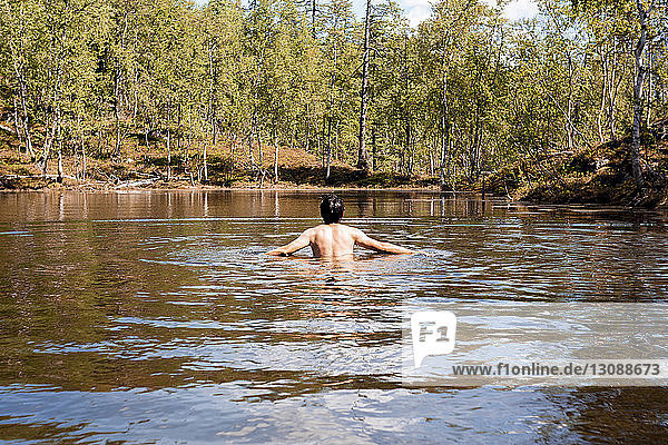 Rückansicht eines Mannes ohne Hemd  der im See im Wald schwimmt