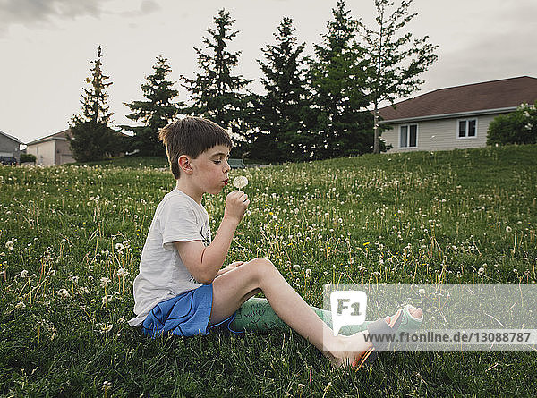 Side view of boy with broken leg blowing dandelion while sitting on grassy field at park