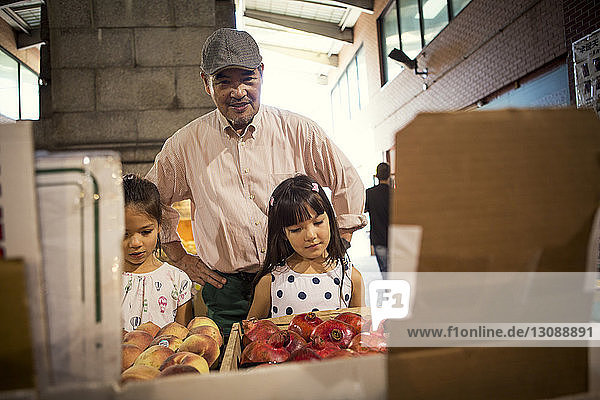Großvater mit Enkelinnen  die Früchte betrachten  während sie am Marktstand stehen