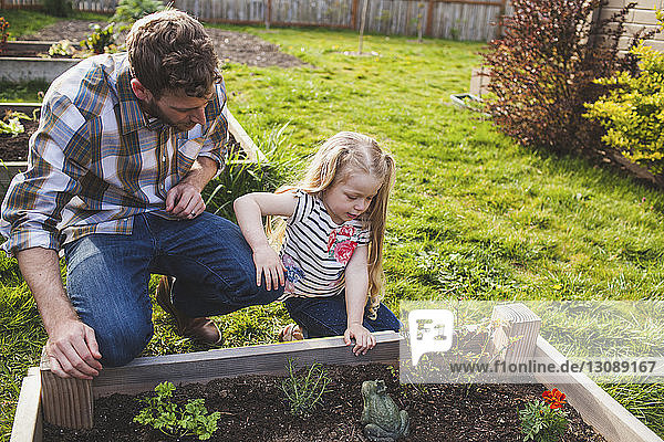 Father and daughter looking at plants growing in raised bed