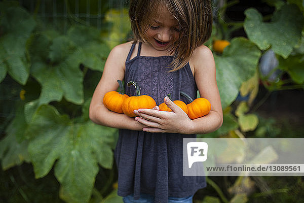 Glückliches Mädchen hält Kürbisse  während es sich gegen Pflanzen stellt