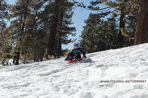 Low angle view of boy tobogganing on snow covered field in forest