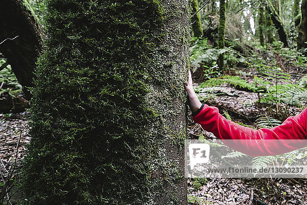 Abgehackte Hand einer Wanderin am moosbewachsenen Baumstamm im Wald im Garajonay-Nationalpark