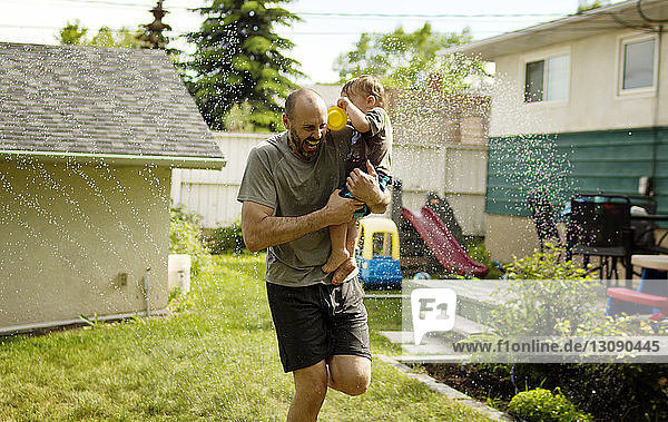 Fröhlicher Vater trägt Sohn  während er im Garten im Rasensprenger spielt