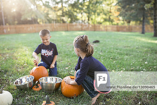 Geschwister mit Kürbissen auf dem Feld im Hof während Halloween