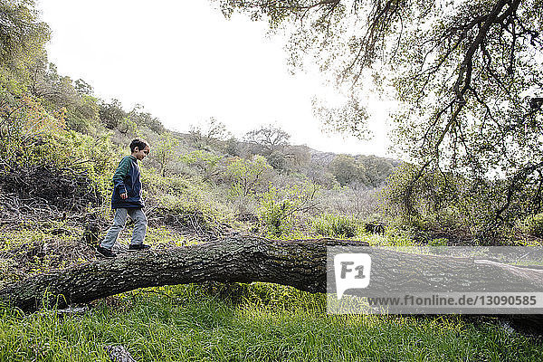 Side view of boy walking on tree trunk against sky in forest