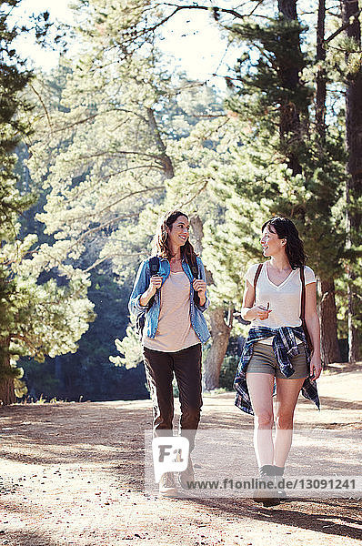 Female friends talking while walking in forest