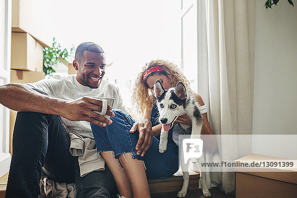 Glückliches Paar spielt mit Hund und sitzt im neuen Haus an der Tür