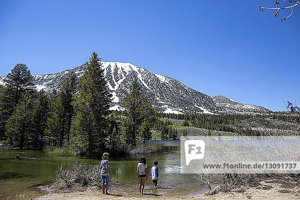 Rear view of siblings standing by lake against clear sky at Inyo National Forest